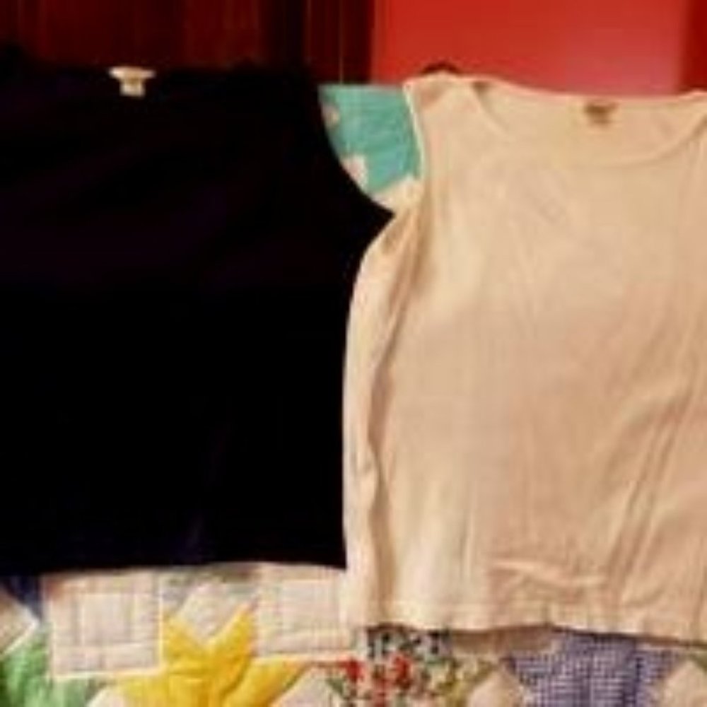 Christopher Banks XL sleeveless tops